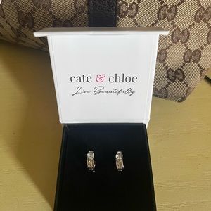 Earrings NIB